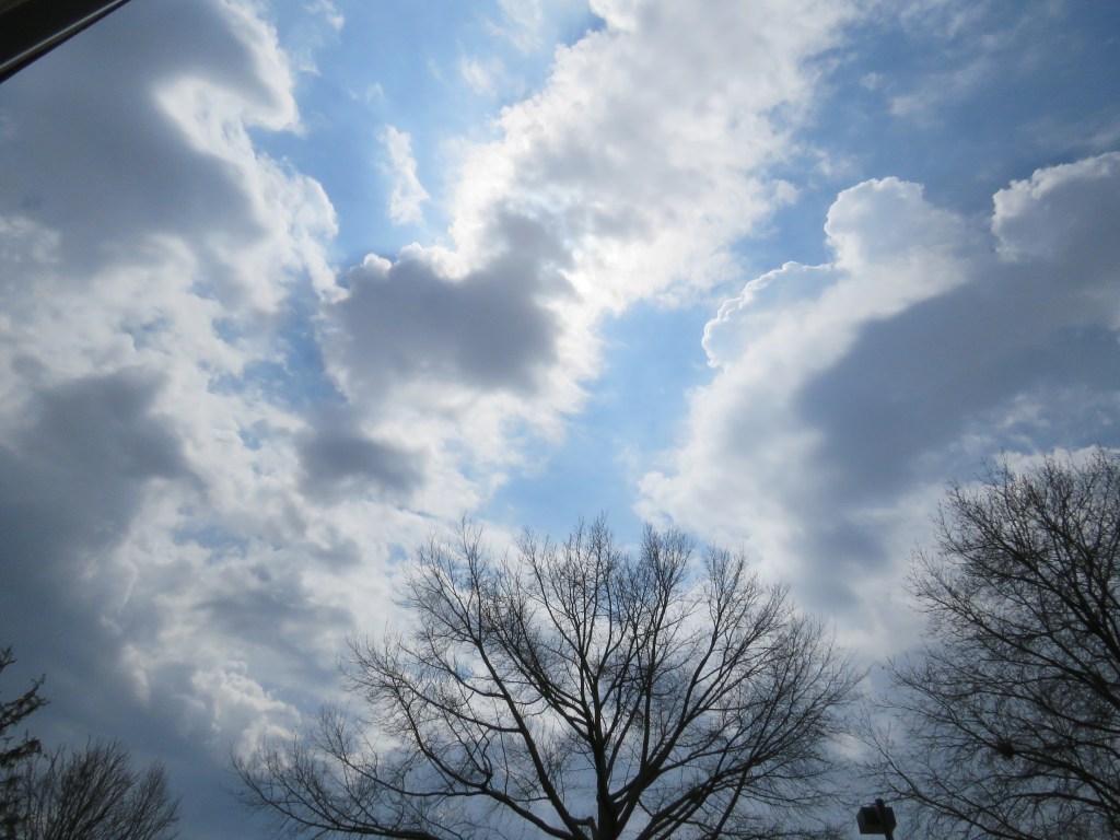 A year backwards, light&nbsp;becoming